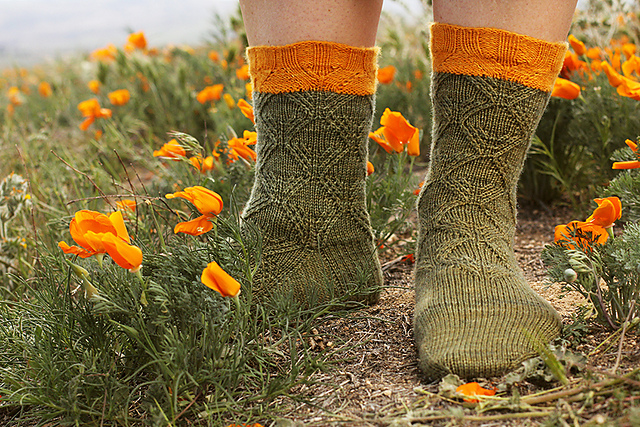 Prance Past The Poppies