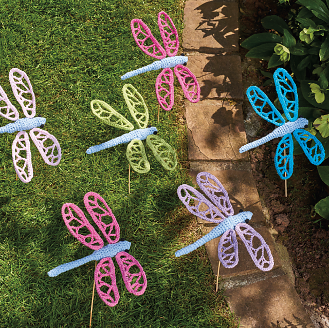 Dazzling dragonflies