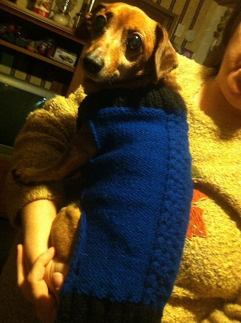 Knotted Cable Dog Sweater