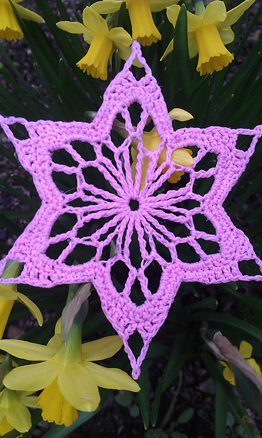Daffodil Snowflake