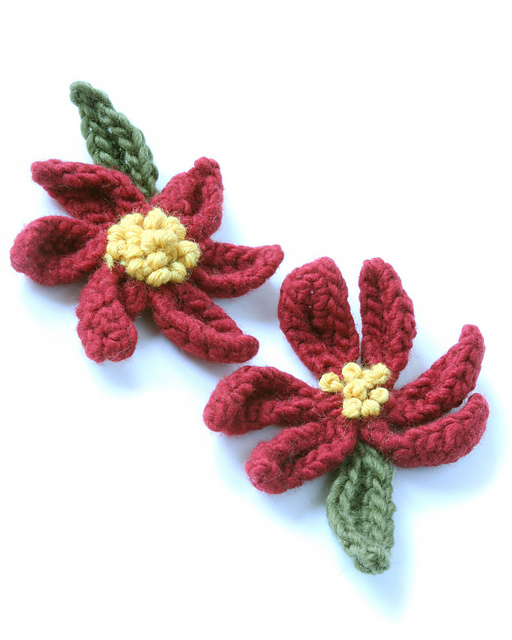 Poinsettia