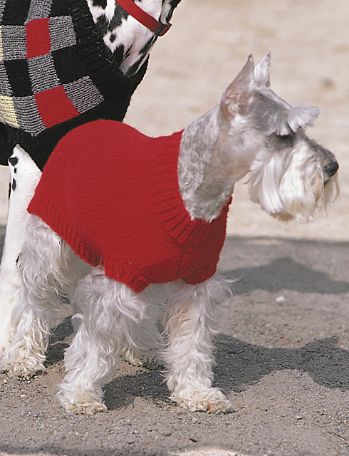 Basic Coat