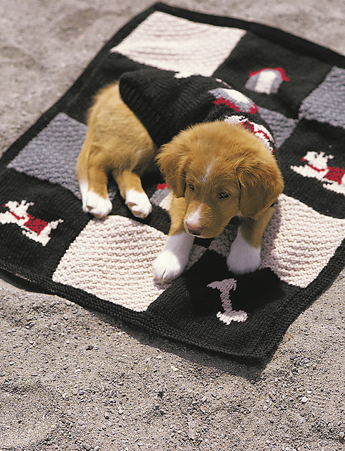 Blanket and Coat Set: Blanket