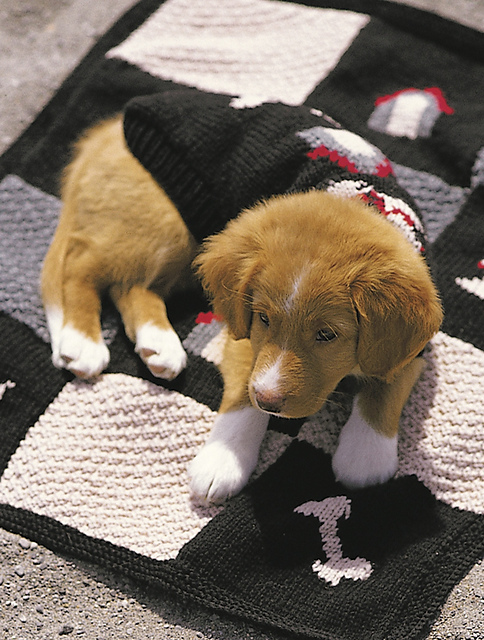 Blanket and Coat Set: Coat