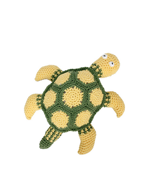 Zippy the Sea Turtle