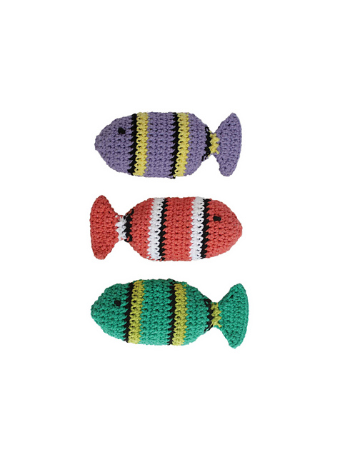 Tish the Fish