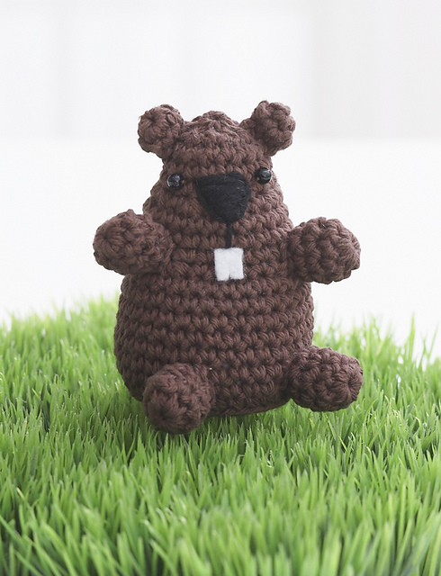 Groundhog