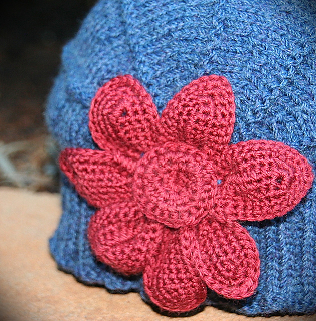 Lotus Bloom Flower