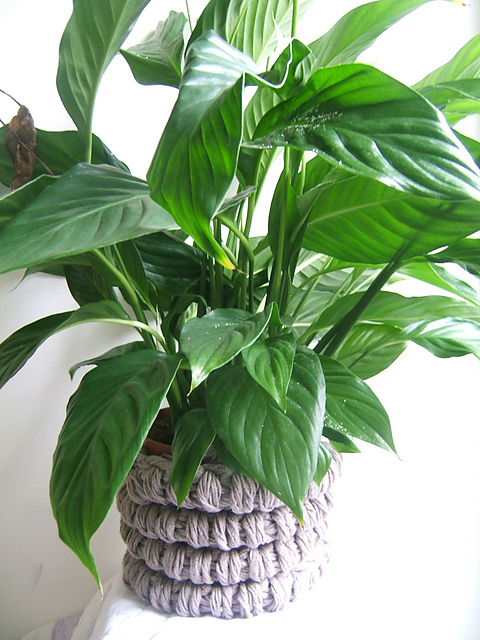 Henchild Boned Plant Pot/Vase Cosy