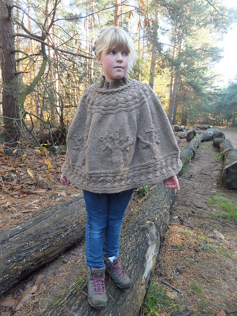 Autumn Forest Poncho