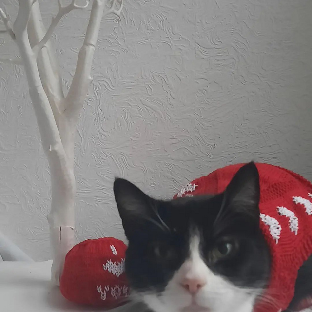 "Valentine"  cat playball/Bauble
