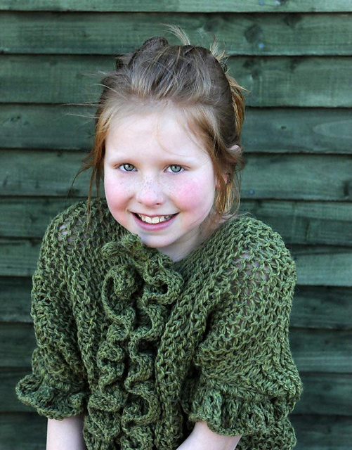 Up The Allotment Bug cropped sweater