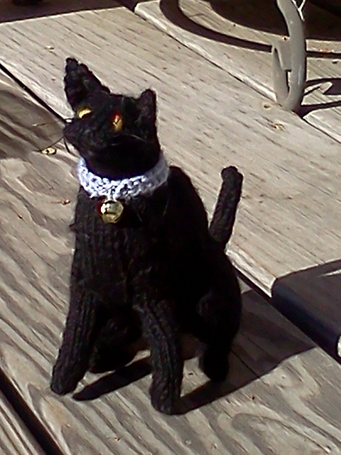 Black & White Cat Sitting