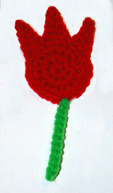 Tulip
