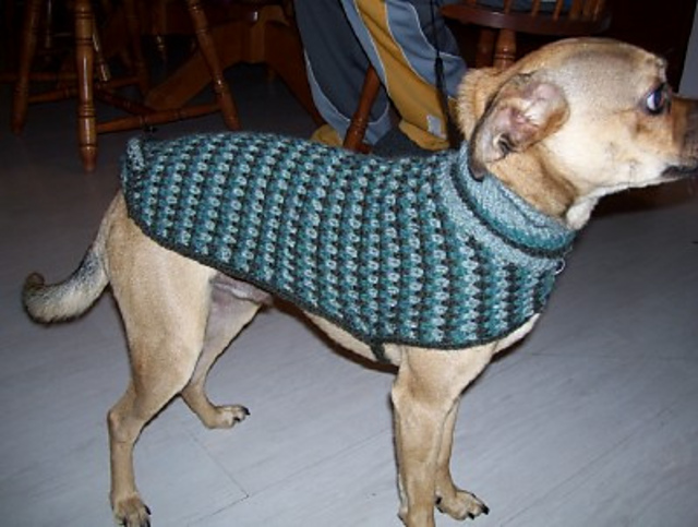 Tweed Dog's Coat