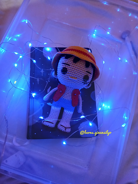 Monkey D Luffy Pirate