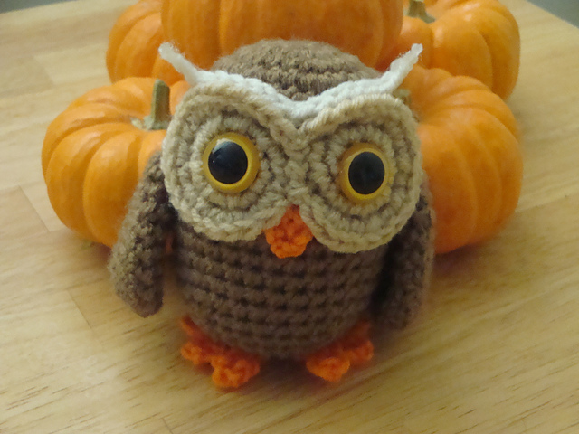Wise Owl