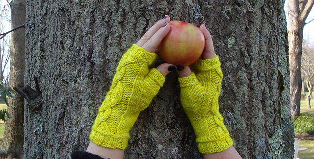 Honeycrisp Mitts