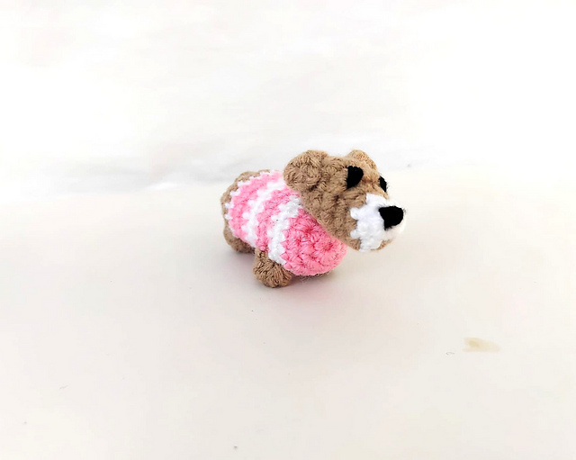 Daisy Dachshund Dog