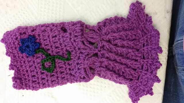 Winter into Spring Hand mitts