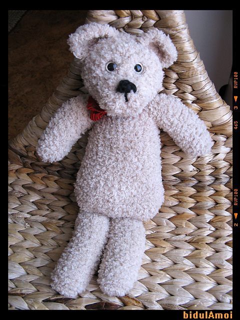 L'ours Bruno