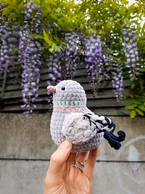 Chubby Baby Pigeon