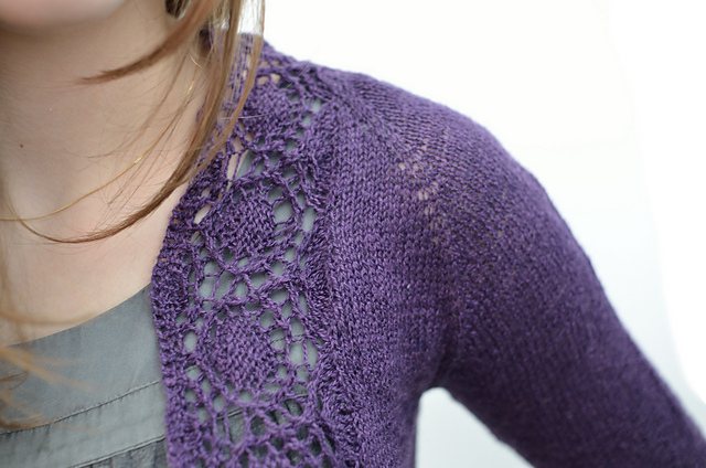 Medallion-Edged Shrug