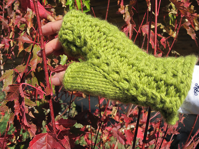 Plain and Fancy Fingerless Gloves