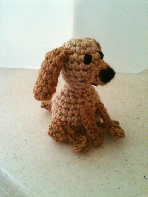 Hector, the Tiny Puppy