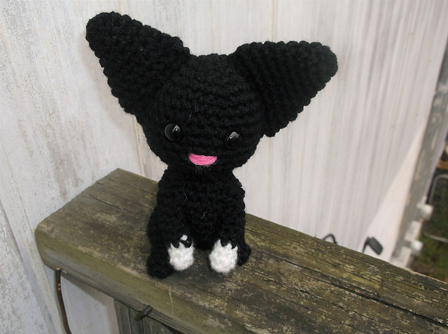 Big Eared Cat