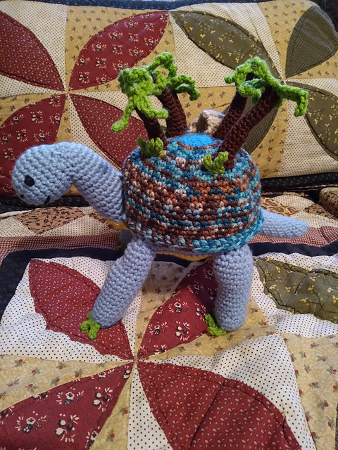 Oasis Tortoise