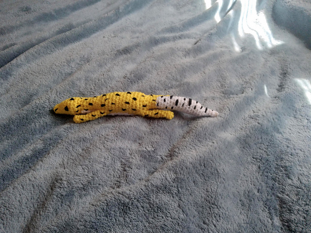 Leopard Gecko