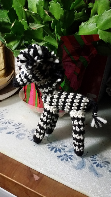 Zebra