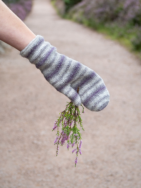 Balvattan Mittens