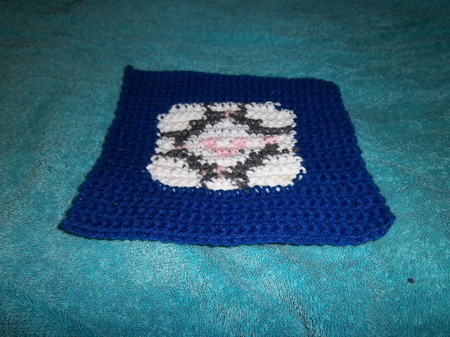 Portal Cube Square
