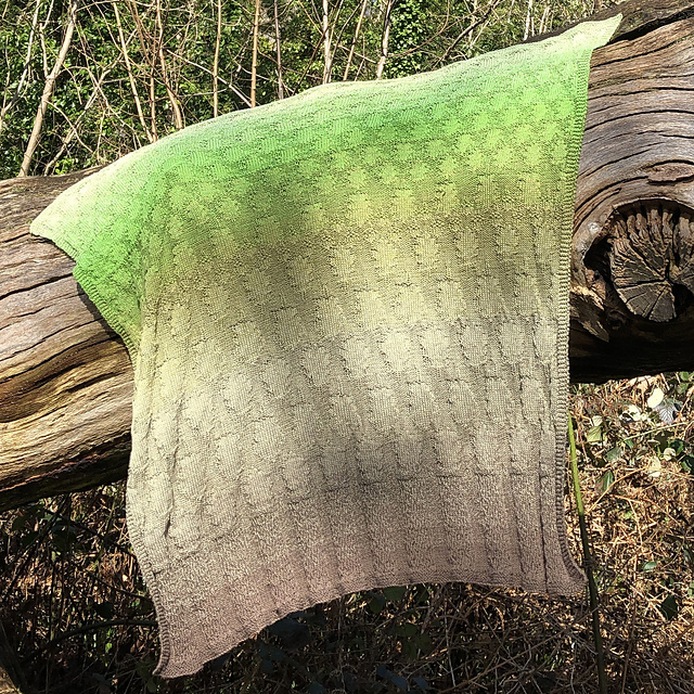 Oak Forest Blanketscape
