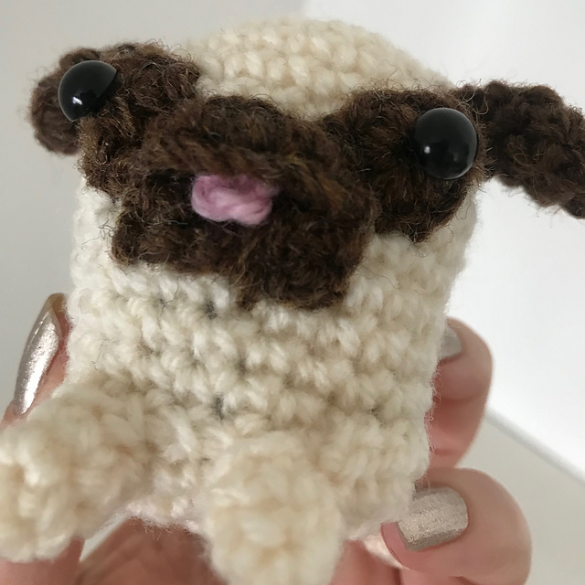 Baby Pug