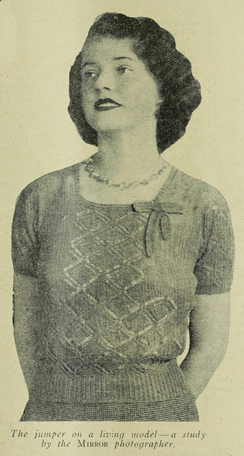 Fan-pattern Jumper with Puff-sleeves