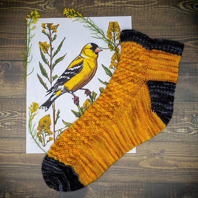 American Goldfinch Socks