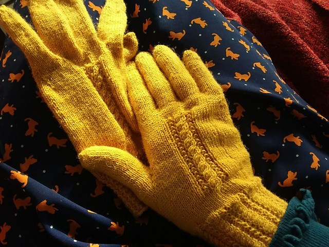 Women's Gloves #2261