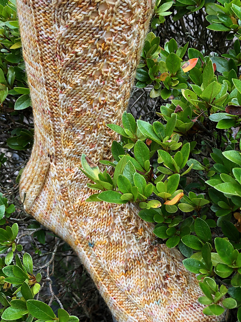 Saskatchewan Socks