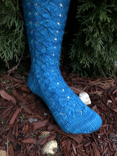 British Columbia Socks