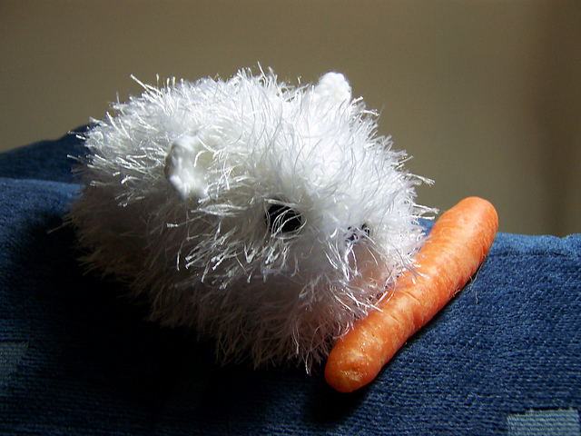 Guinea Pig