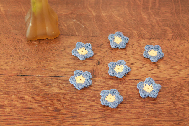 Myosotis