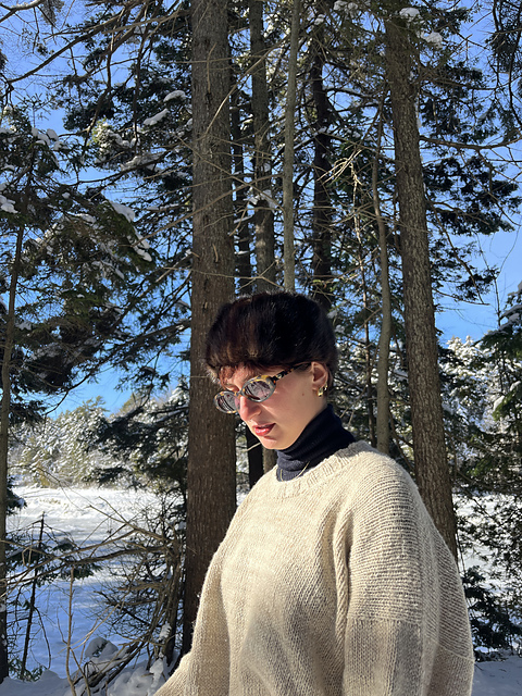 Sandpiper Pullover