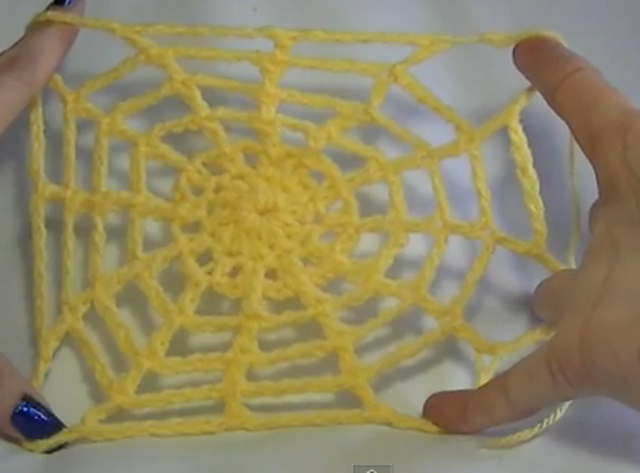 spiders web