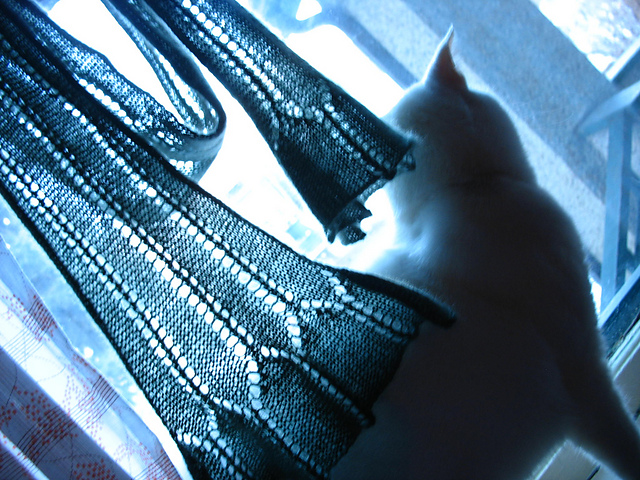 Cockleshells Scarf