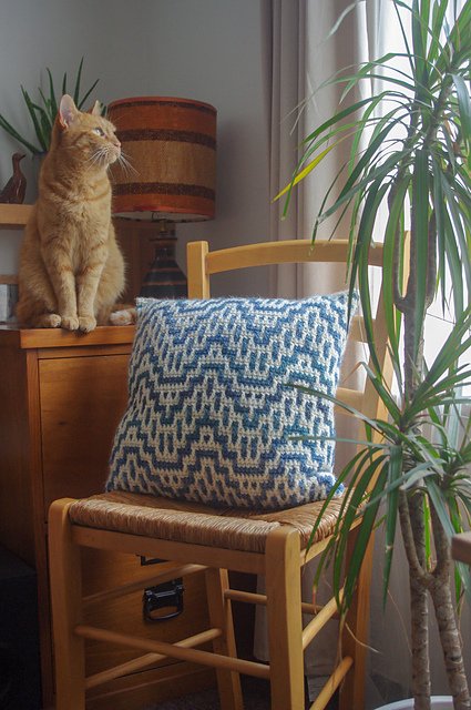 Riversmeet Cushion