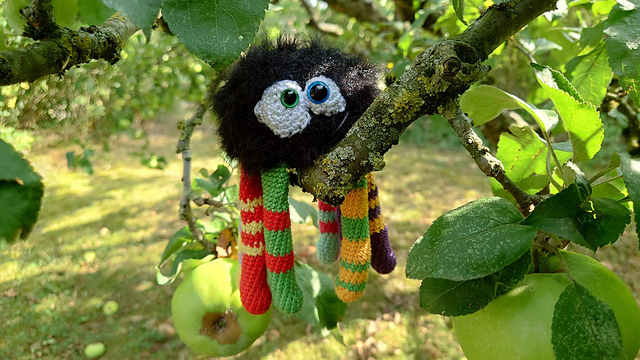 Spider and his friend