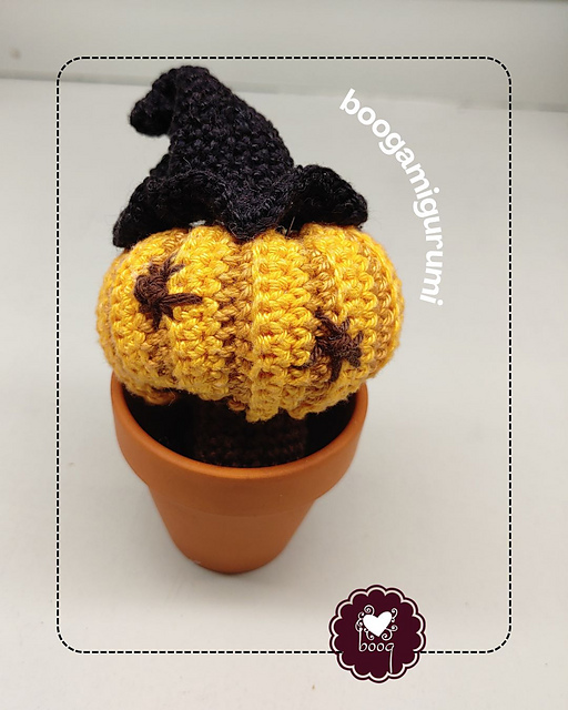 Cactus with sombrero